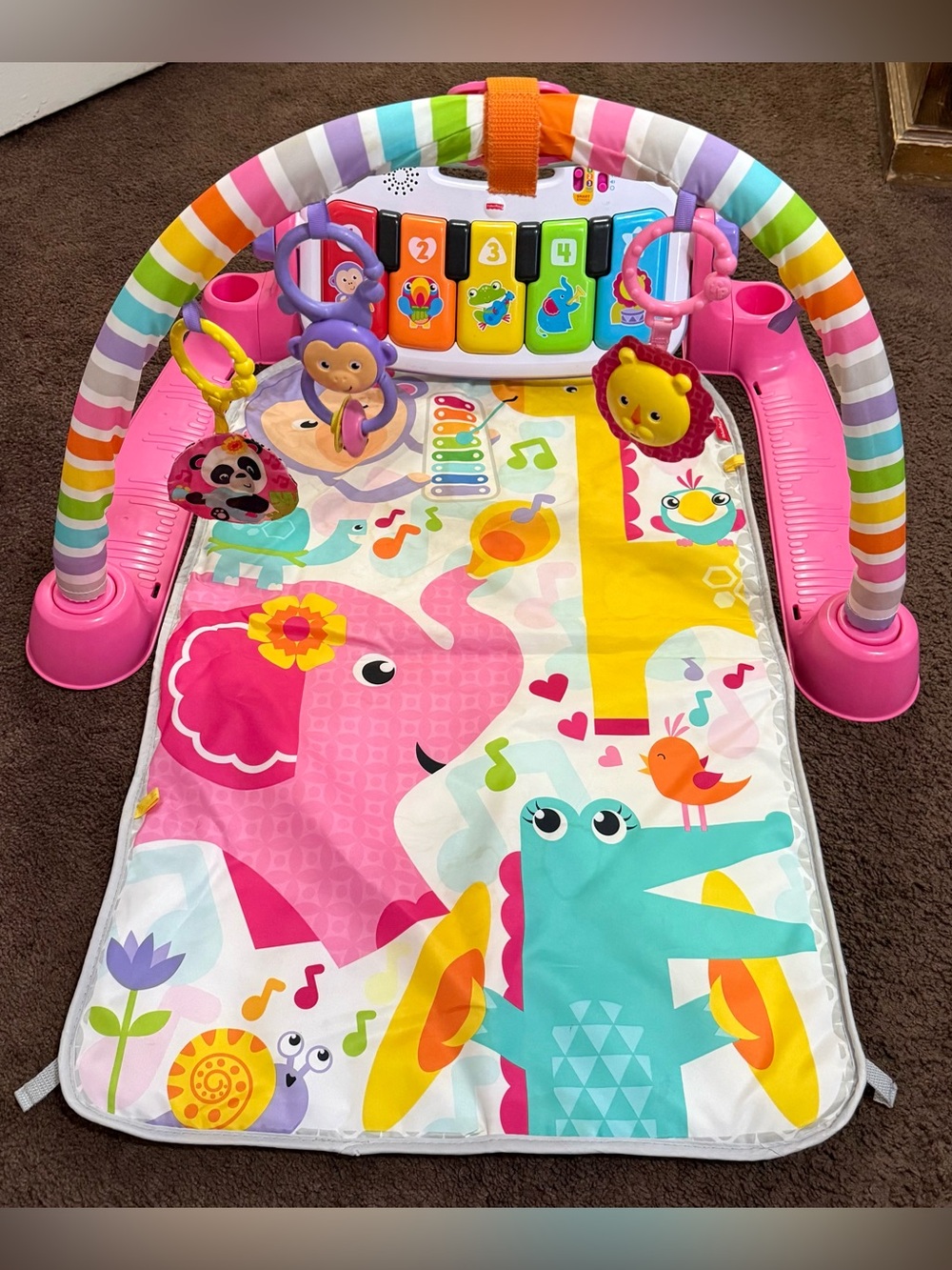 Fisher-Price Musical Play with Colorful Piano